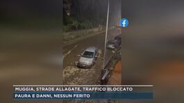 Muggia, strade allagate, traffico bloccato thumbnail