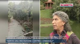 Genova, la villa ostaggio dei cinghiali thumbnail