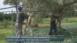 Il ministro Lollobrigida lancia la "leva agricola" thumbnail