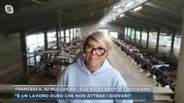 Francesca, 82 mucche nel suo allevamento trevigiano thumbnail