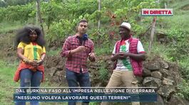 Dal Burkina Faso all'impresa nella vigne di Carrara thumbnail
