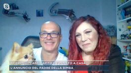 Acerra, il cane rapito è tornato a casa thumbnail