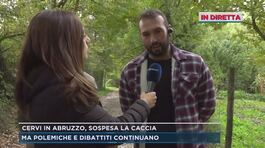 Cervi in Abruzzo, sospesa la caccia thumbnail