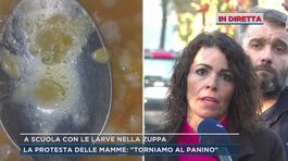 A scuola con le larve nella zuppa thumbnail