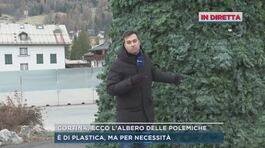 In diretta da Cortina, ecco l'albero delle polemiche thumbnail