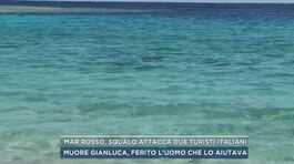 Mar Rosso, squalo attacca due turisti italiani thumbnail