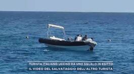 Turista italiano ucciso da uno squalo in Egitto thumbnail