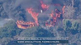Incendi Los Angeles, quali le possibili cause? thumbnail