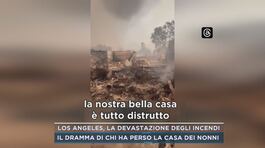 Los Angeles, la devastazione degli incendi thumbnail