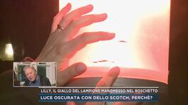 Lilly, il giallo del lampione manomesso nel boschetto thumbnail