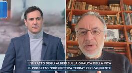 In diretta il Prof. Stefano Mancuso, l'impatto degli alberi sulla qualità della vita thumbnail