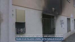 Lite con la convivente per il gatto, uomo appicca un incendio thumbnail