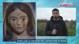 Trevignano, il sangue della statuina sarebbe di Gisella thumbnail