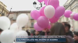 Fiori e palloncini per la bimba uccisa dal pitbull thumbnail