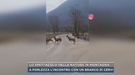 Lo spettacolo della natura in montagna thumbnail