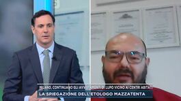 Milano, continuano gli avvistamenti di lupo vicino ai centri abitati thumbnail