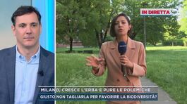 Milano, cresce l'erba e pure le polemiche thumbnail