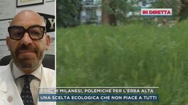 Parchi milanesi, polemiche per l'erba alta thumbnail