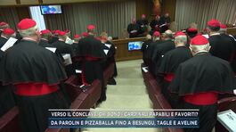 Verso il Conclave, chi sono i cardinali papabili e favoriti? thumbnail