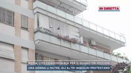 Roma, il condominio preso d'assalto dai piccioni thumbnail