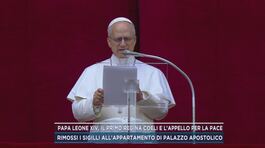 Papa Leone XIV, il primo Regina Coeli e l'appello per la pace thumbnail