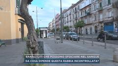 Banali liti che possono sfociare nel sangue