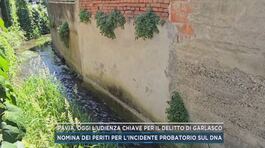 Delitto Garlasco, gli oggetti ripescati nel canale di Tromello thumbnail