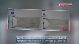 Delitto Garlasco, la pista degli abiti insanguinati nel campo thumbnail