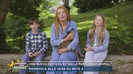 Una nuova puntata di "Dalla parte degli animali" thumbnail
