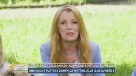 "Dalla parte degli animali" con Michela Vittoria Brambilla thumbnail