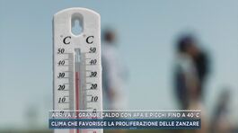 Arriva il grande caldo con afa e picchi fino a 40°C thumbnail