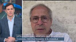 Lotta alle zanzare: l'importanza delle disinfestazioni thumbnail