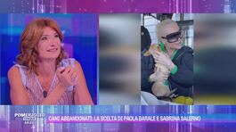 Cani abbandonati: la scelta di Paola Barale e Sabrina Salerno thumbnail