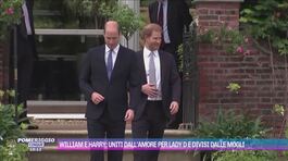William e Harry: uniti dall'amore per Lady D e divisi dalle mogli thumbnail