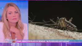 Fano, maxi focolaio di dengue: "Alto rischio diffusione" thumbnail