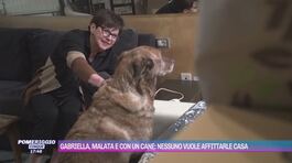 Gabriella, malata e con un cane: nessuno vuole affittarle casa thumbnail