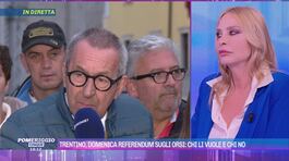 Trentino, domenica il referendum sugli orsi thumbnail