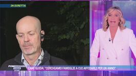 Cani guida: "Cerchiamo famiglie a cui affidarli per un anno" thumbnail