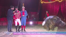 Circo Orfei, tradizione e novità: come cambia lo spettacolo thumbnail
