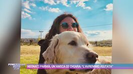 Neonati Parma, un'amica di Chiara: "L'avremmo aiutata" thumbnail