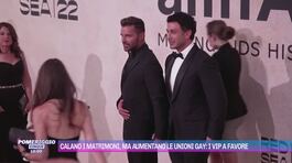 Calano i matrimoni, ma aumentano le unioni gay: i vip a favore thumbnail