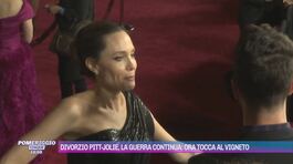 Divorzio Pitt-Jolie, la guerra continua: ora tocca al vigneto thumbnail