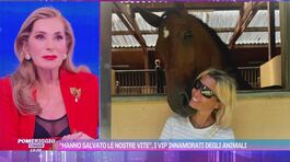 "Hanno salvato le nostre vite", i vip innamorati degli animali thumbnail