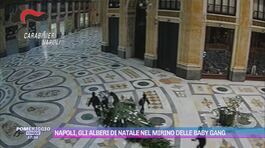 Napoli, gli alberi di Natale nel mirino delle baby gang thumbnail