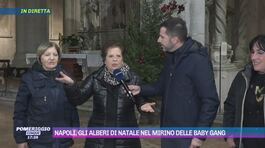 Napoli, sventato il furto dell'albero di Natale thumbnail