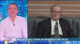 Vittorio Feltri, una vita tra giornalismo e l'amore per i gatti thumbnail