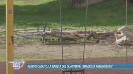 Albero caduto nel parco: Francesca Ianni morta davanti ai suoi bimbi thumbnail