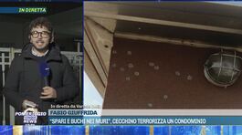 "Spari e buchi nei muri", cecchino terrorizza un condominio thumbnail