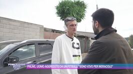 Palmi, uomo aggredito da un pitbull: "Sono vivo per miracolo" thumbnail