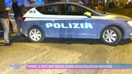 Torino, il suo cane abbaia: donna accoltellata da un vicino thumbnail